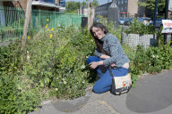 'Not just weeds': how rebel botanists are using graffiti to name forgotten flora