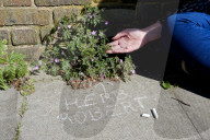 'Not just weeds': how rebel botanists are using graffiti to name forgotten flora