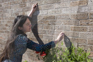 'Not just weeds': how rebel botanists are using graffiti to name forgotten flora