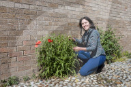 'Not just weeds': how rebel botanists are using graffiti to name forgotten flora