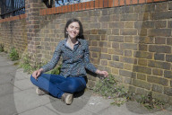 'Not just weeds': how rebel botanists are using graffiti to name forgotten flora