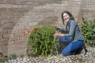 'Not just weeds': how rebel botanists are using graffiti to name forgotten flora