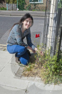 'Not just weeds': how rebel botanists are using graffiti to name forgotten flora