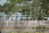 'Not just weeds': how rebel botanists are using graffiti to name forgotten flora