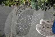 'Not just weeds': how rebel botanists are using graffiti to name forgotten flora