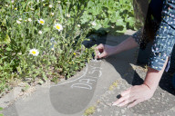 'Not just weeds': how rebel botanists are using graffiti to name forgotten flora