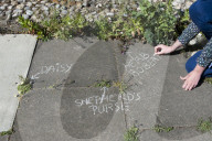 'Not just weeds': how rebel botanists are using graffiti to name forgotten flora