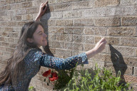 'Not just weeds': how rebel botanists are using graffiti to name forgotten flora