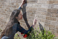 'Not just weeds': how rebel botanists are using graffiti to name forgotten flora