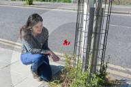 'Not just weeds': how rebel botanists are using graffiti to name forgotten flora