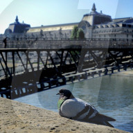 REPORTAGE - Coronavirus: Paris während des Lockdowns