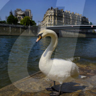 REPORTAGE - Coronavirus: Paris während des Lockdowns
