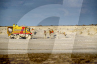 NEWS - Zwei Surfer getötet, drei vermisst in Scheveningen, Holland