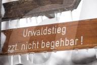 NEWS - Die Eisheiligen kommen: Arktische Polarluft bringt den Winter zurück in den Harz 