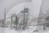 NEWS - Die Eisheiligen kommen: Arktische Polarluft bringt den Winter zurück in den Harz 