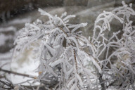 NEWS - Die Eisheiligen kommen: Arktische Polarluft bringt den Winter zurück in den Harz 