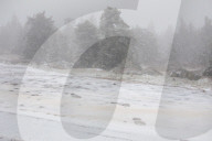 NEWS - Die Eisheiligen kommen: Arktische Polarluft bringt den Winter zurück in den Harz 