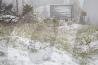 NEWS - Die Eisheiligen kommen: Arktische Polarluft bringt den Winter zurück in den Harz 