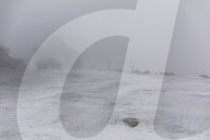NEWS - Die Eisheiligen kommen: Arktische Polarluft bringt den Winter zurück in den Harz 