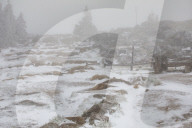 NEWS - Die Eisheiligen kommen: Arktische Polarluft bringt den Winter zurück in den Harz 