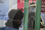 NEWS - Coronavirus: Allatg in Mexico