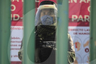 NEWS - Coronavirus: Allatg in Mexico
