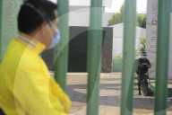 NEWS - Coronavirus: Allatg in Mexico