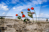 NEWS - Nach dem Surfer-Unglück in Scheveningen: Trauer am Strand und dem Surfclub