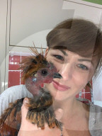 FEATURE -   Verücktes Huhn: Kristine Jones rettet Geflügel vor dem Schlachthaus