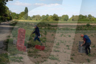 NEWS -  Gemüse-Ernte in Mesnil-le-Roi
 bei Paris