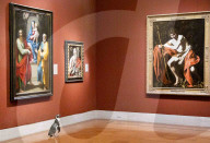 FEATURE -  Pinguine machen einen Tagesausflug zu Kunstmuseum in Missouri