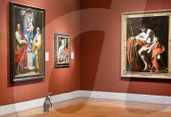 FEATURE -  Pinguine machen einen Tagesausflug zu Kunstmuseum in Missouri