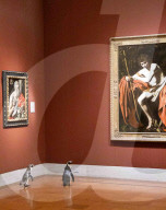 FEATURE -  Pinguine machen einen Tagesausflug zu Kunstmuseum in Missouri