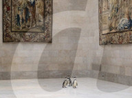 FEATURE -  Pinguine machen einen Tagesausflug zu Kunstmuseum in Missouri