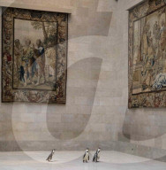 FEATURE -  Pinguine machen einen Tagesausflug zu Kunstmuseum in Missouri