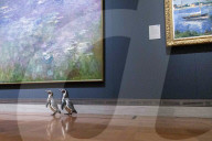 FEATURE -  Pinguine machen einen Tagesausflug zu Kunstmuseum in Missouri