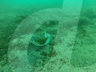 NEWS - Coronavirus: Masken und Handschuhe verschmutzen Mittelmeer