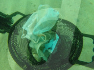 NEWS - Coronavirus: Masken und Handschuhe verschmutzen Mittelmeer