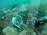 NEWS - Coronavirus: Masken und Handschuhe verschmutzen Mittelmeer