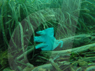 NEWS - Coronavirus: Masken und Handschuhe verschmutzen Mittelmeer