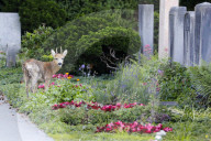 NEWS - Schweiz: 10'000 Unterschriften gegen Abschuss von Rehen auf dem Friedhof Riehen