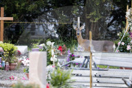 NEWS - Schweiz: 10'000 Unterschriften gegen Abschuss von Rehen auf dem Friedhof Riehen