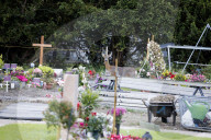 NEWS - Schweiz: 10'000 Unterschriften gegen Abschuss von Rehen auf dem Friedhof Riehen