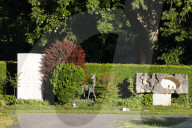 NEWS - Schweiz: 10'000 Unterschriften gegen Abschuss von Rehen auf dem Friedhof Riehen