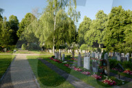 NEWS - Schweiz: 10'000 Unterschriften gegen Abschuss von Rehen auf dem Friedhof Riehen