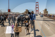 NEWS - USA Unruhen: Proteste auf der Golden Gate Bridge von San Francisco