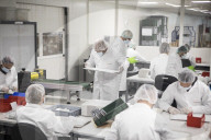 NEWS - Coronavirus: Herstellung von Schnelltests in Strasbourg