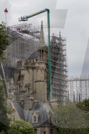 NEWS - Abbau des Baugerüsts an der Notre-Dame in Paris
