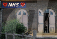 Zoos to reopen in England from Monday