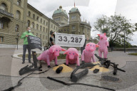 NEWS - Bern: Greenpeace reicht Petition für Import-Stopp von Fleisch und Futtermitteln ein
